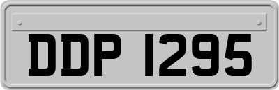 DDP1295
