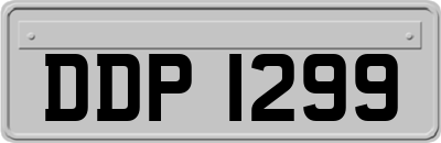 DDP1299