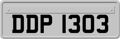 DDP1303