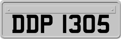 DDP1305