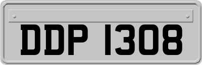 DDP1308