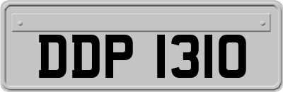 DDP1310