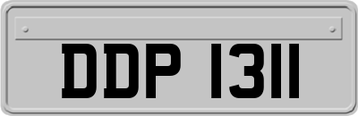 DDP1311
