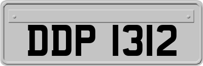 DDP1312