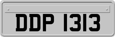 DDP1313