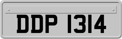 DDP1314