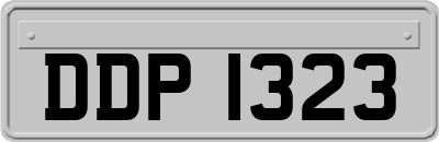DDP1323
