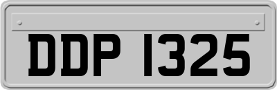 DDP1325