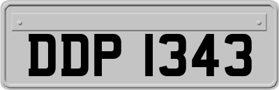 DDP1343