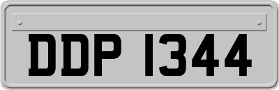 DDP1344