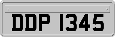 DDP1345