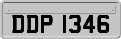 DDP1346