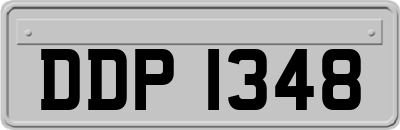 DDP1348