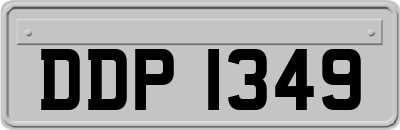 DDP1349