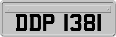 DDP1381