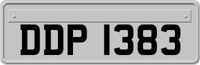 DDP1383