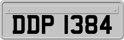 DDP1384