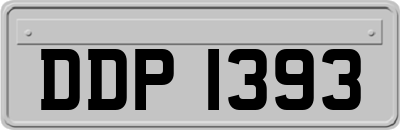 DDP1393