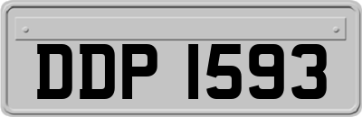 DDP1593