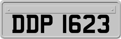 DDP1623