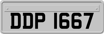 DDP1667