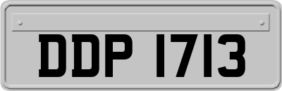 DDP1713