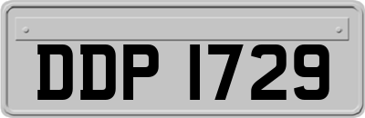DDP1729