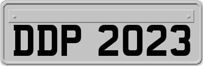 DDP2023