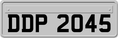 DDP2045