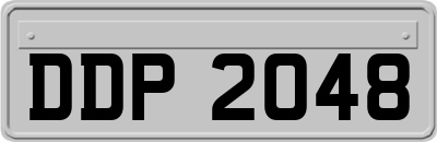 DDP2048