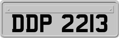 DDP2213