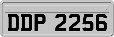 DDP2256