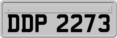 DDP2273