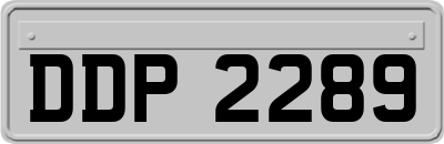 DDP2289