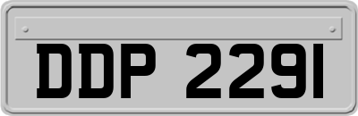 DDP2291