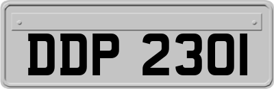 DDP2301