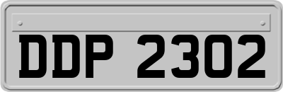 DDP2302