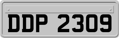 DDP2309
