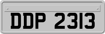 DDP2313