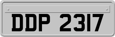 DDP2317