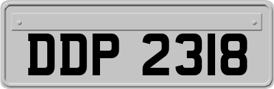 DDP2318