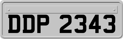 DDP2343