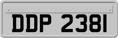 DDP2381