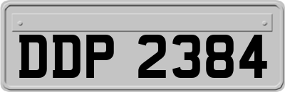 DDP2384