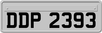 DDP2393