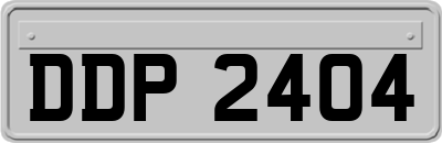 DDP2404
