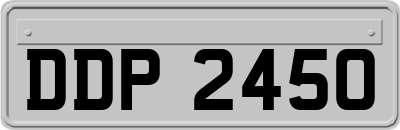 DDP2450
