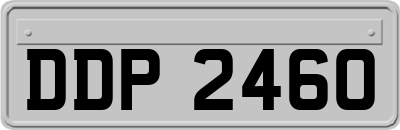 DDP2460