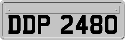 DDP2480