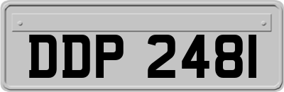DDP2481